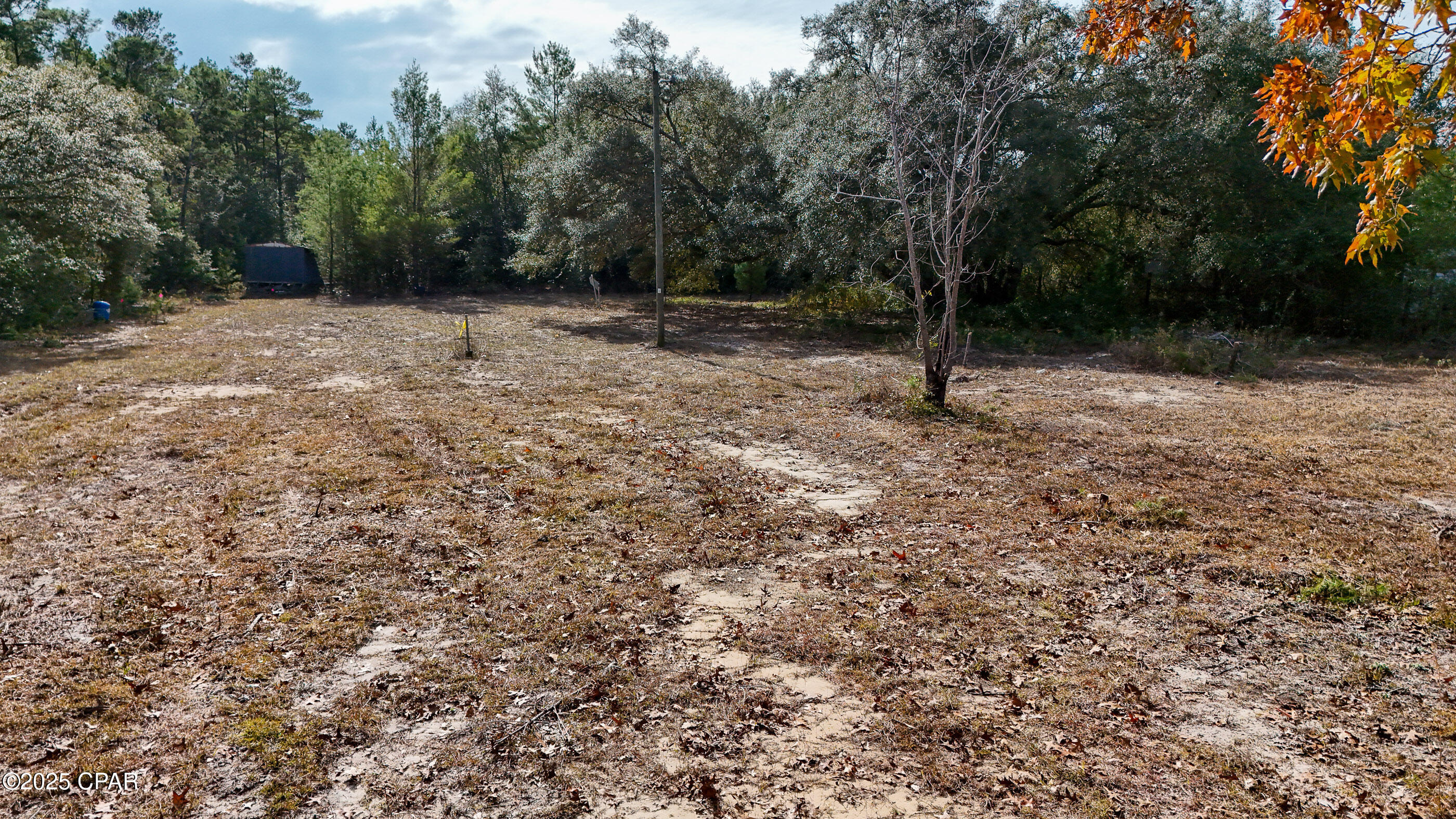 14209 Big Island Pond Road Southport, FL 32409 - Photo 17 of 32