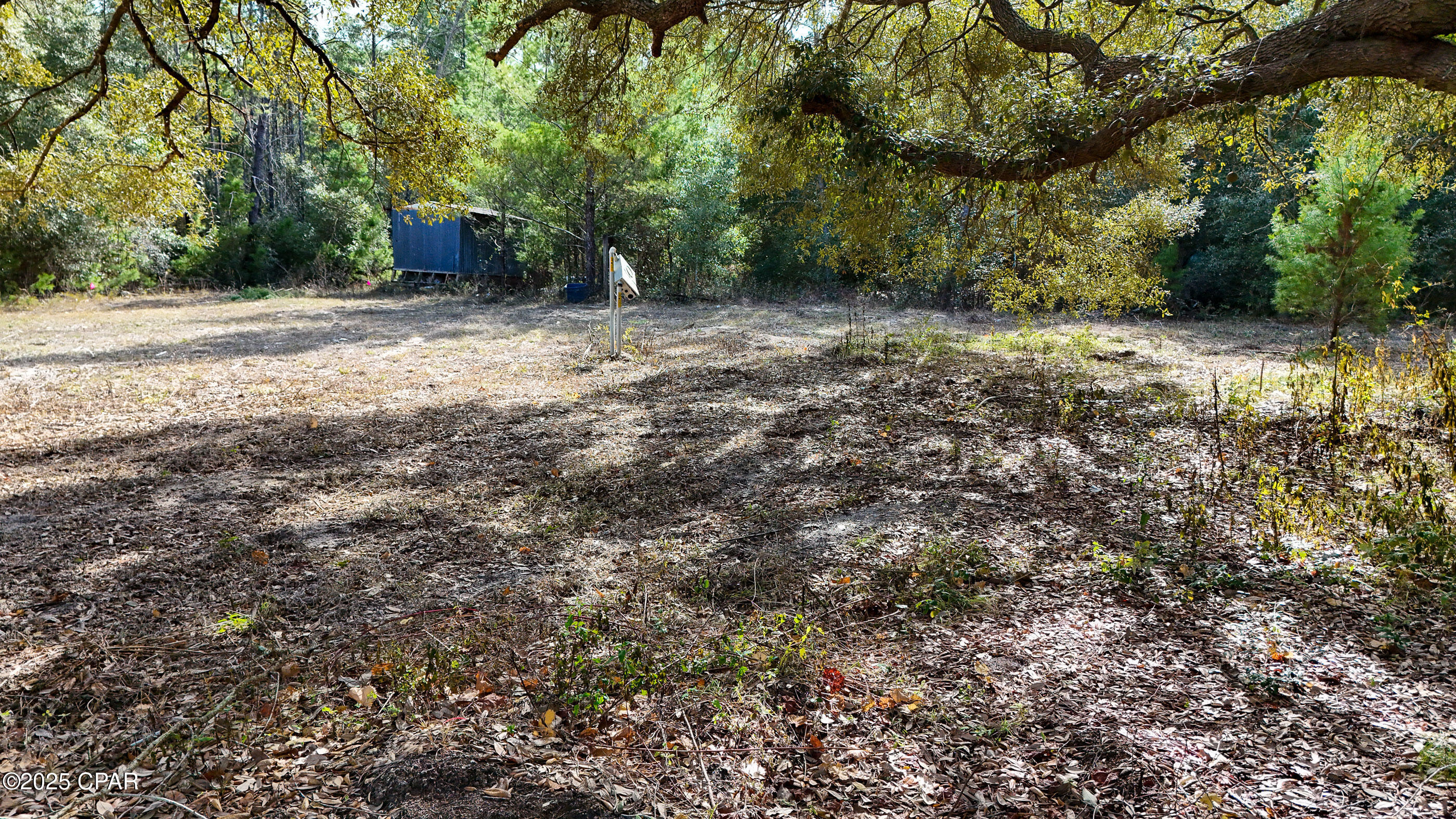 14209 Big Island Pond Road Southport, FL 32409 - Photo 18 of 32