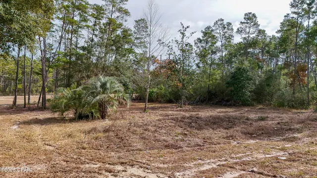 $119,900 | 14209 Big Island Pond Road, Southport, FL 32409