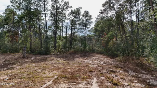 $119,900 | 14209 Big Island Pond Road, Southport, FL 32409