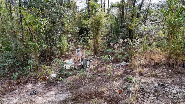 $119,900 | 14209 Big Island Pond Road, Southport, FL 32409