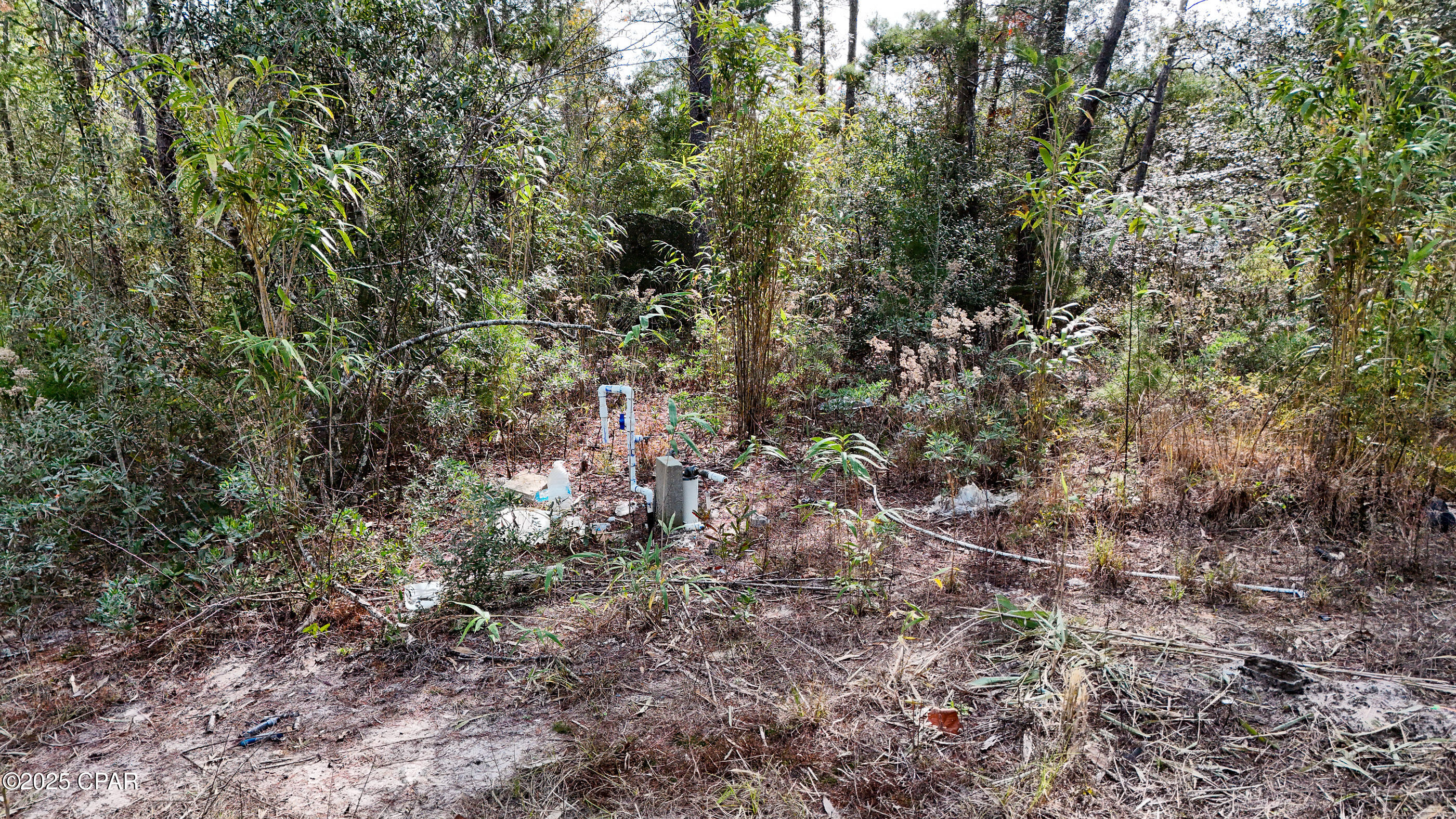 14209 Big Island Pond Road Southport, FL 32409 - Photo 10 of 32