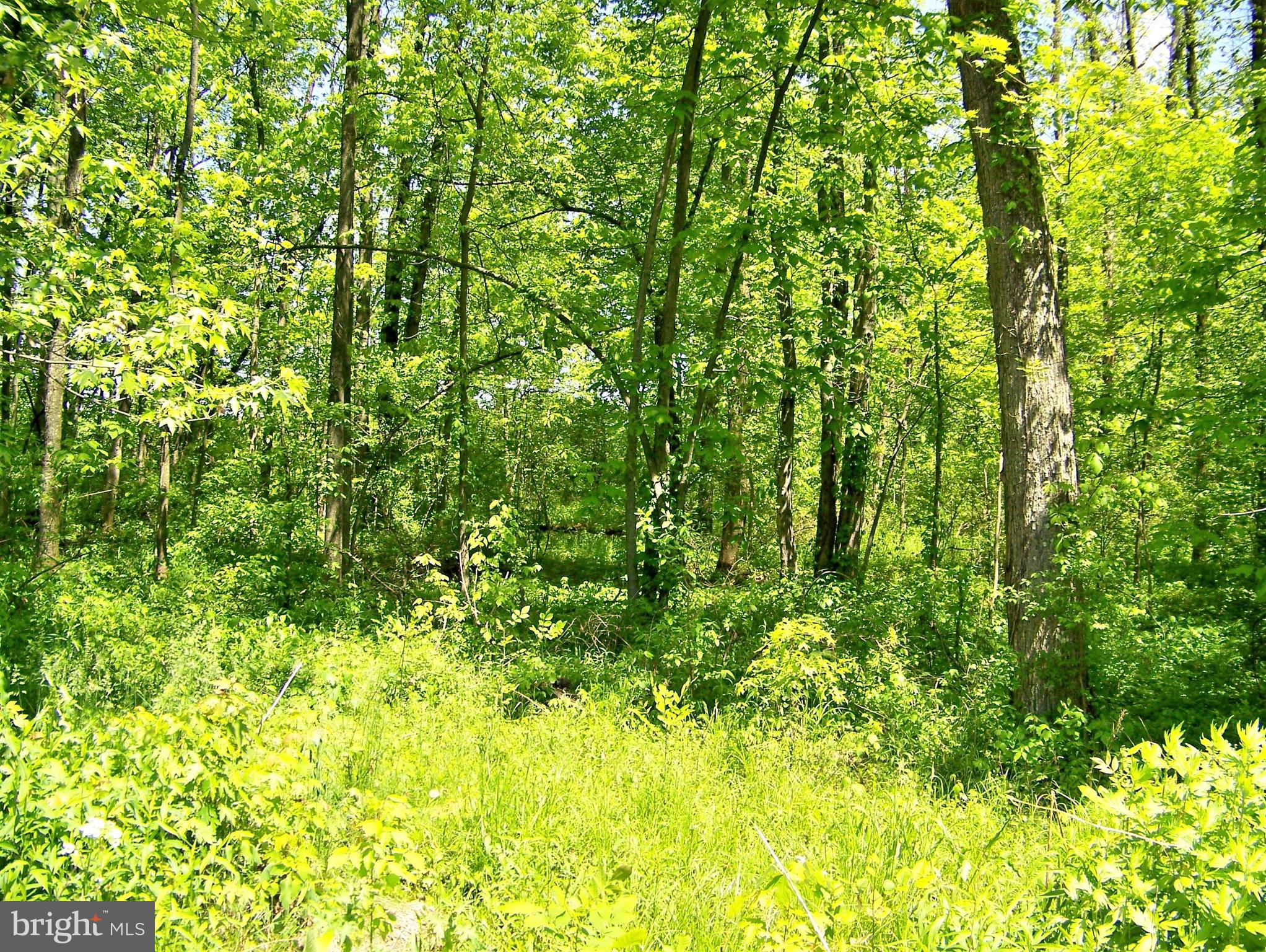 170 Fish And Game Road New Oxford, PA 17350 - Photo 6 of 6