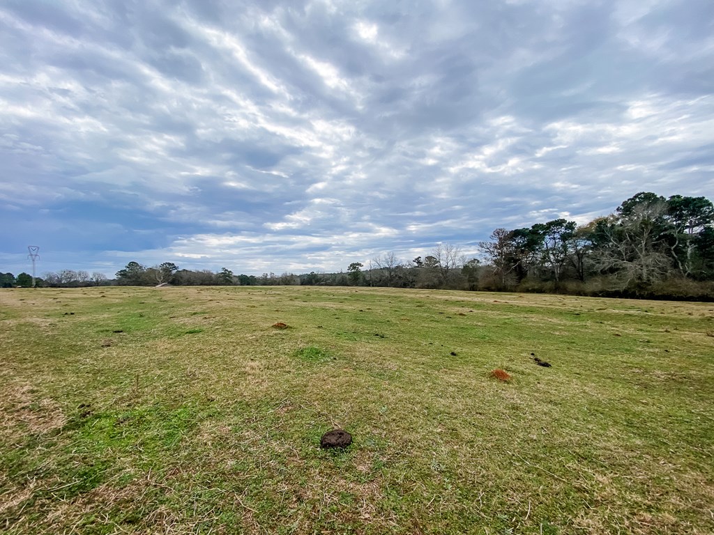 0 Tom Fain Road Geneva, AL 36340 - Photo 10 of 13