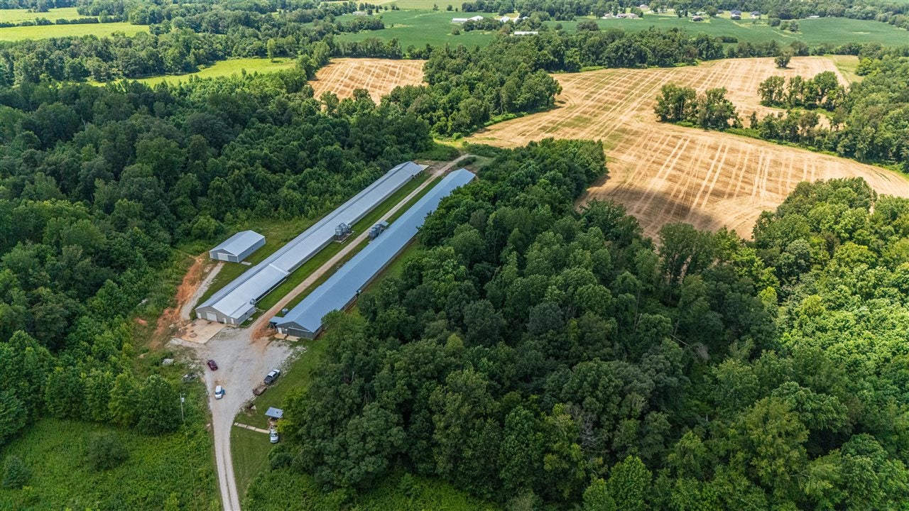 4041 Otter Gap Road Bowling Green, KY 42101 - Photo 29 of 34 Gallery Image 29