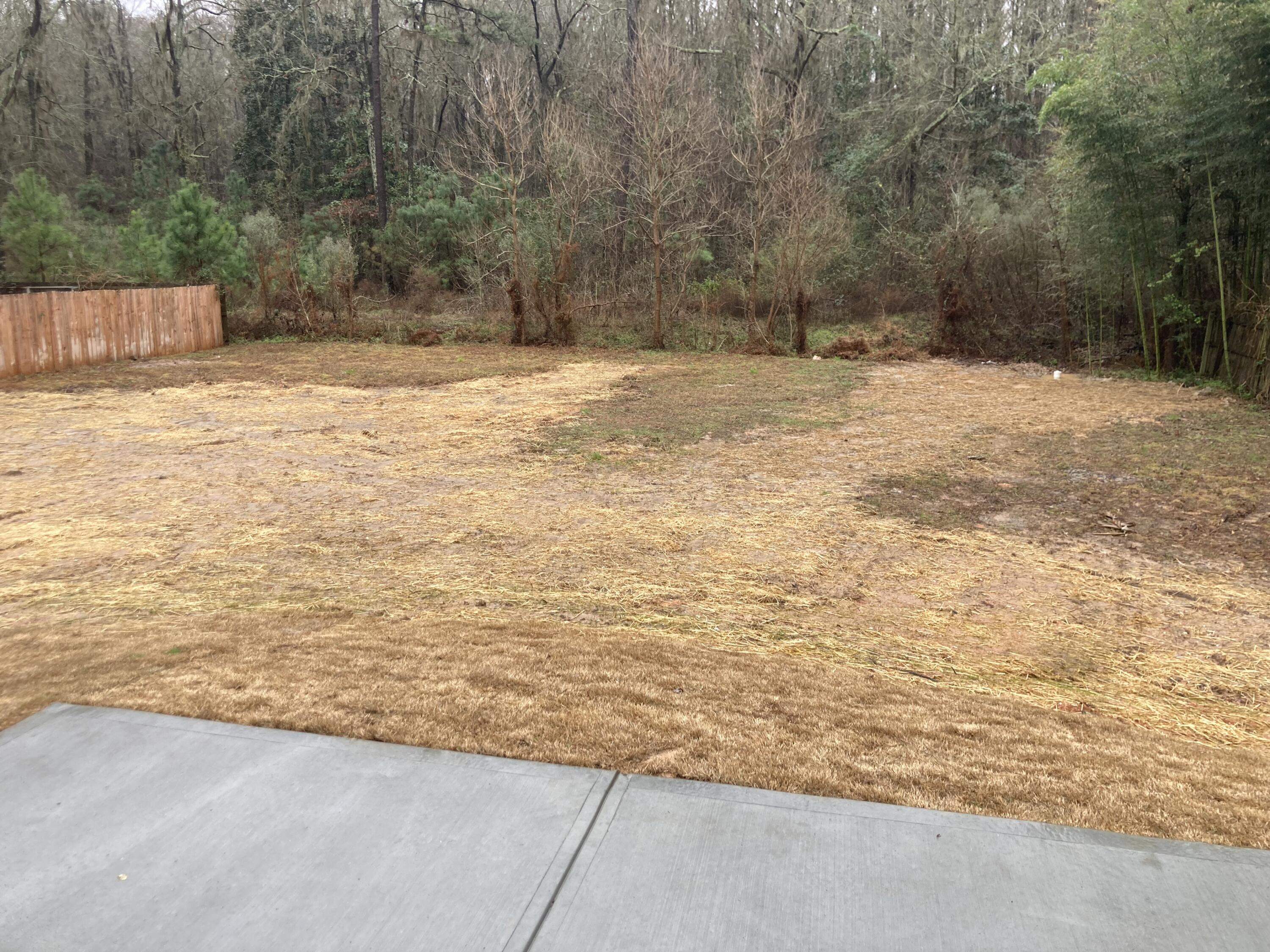 1912 Phinizy Road Augusta, GA 30906 - Photo 19 of 19 Backyard