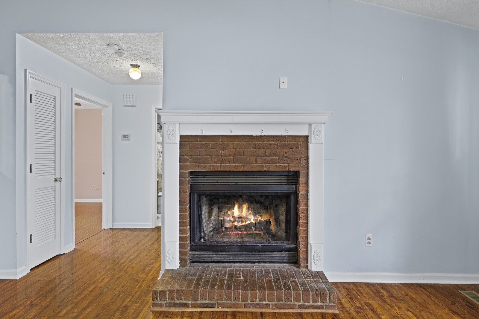 400 Hickory Timber Court Antioch, TN 37013 - Photo 9 of 38 a room with fireplace and a fireplace