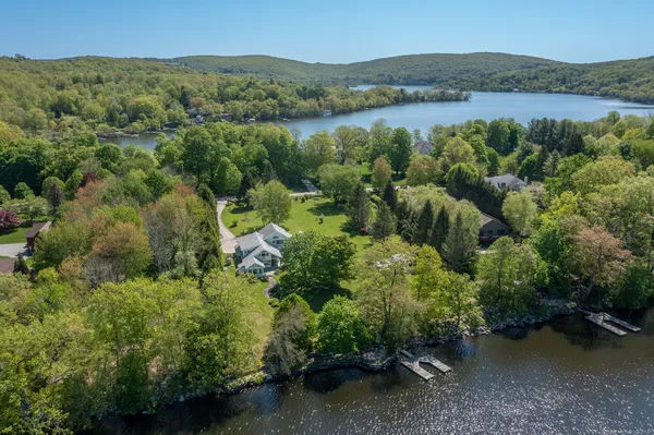 an aerial view of green landscape with trees houses and lake view