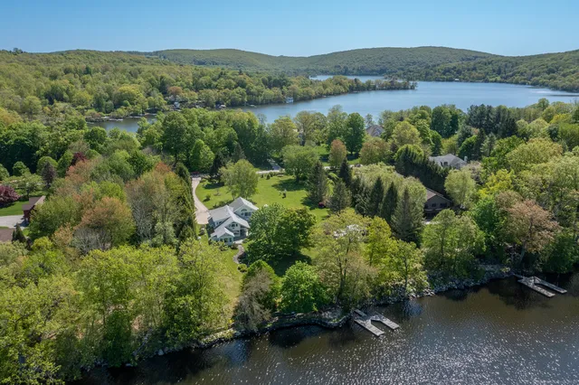 an aerial view of green landscape with trees houses and lake view