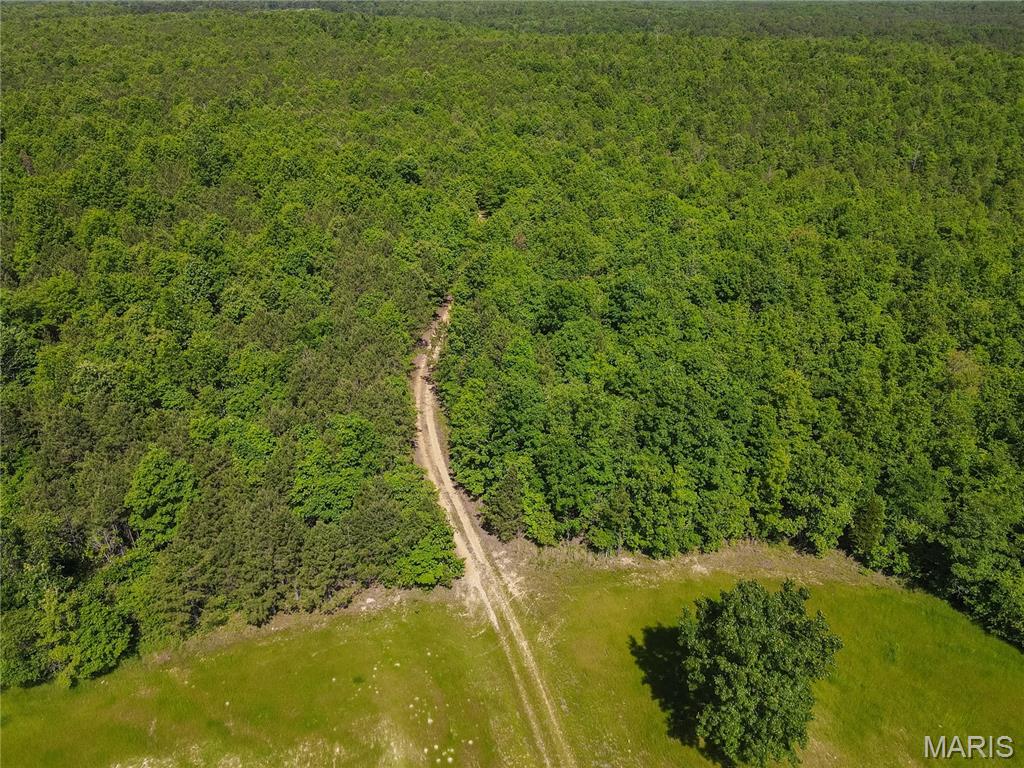 1743 Ripley Route North Doniphan, MO 63935 - Photo 57 of 97