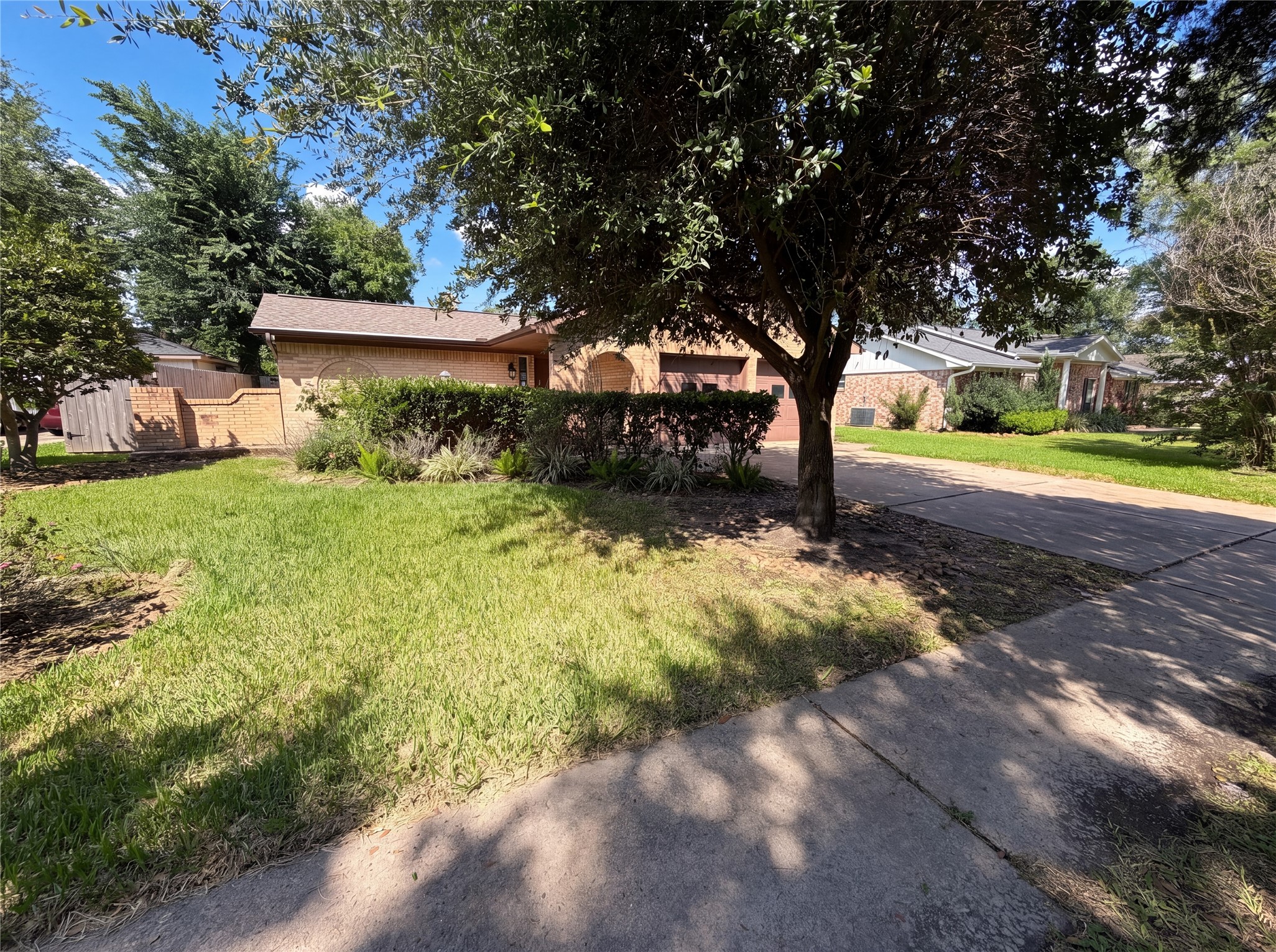 342 Queenstown Road Houston, TX 77015 - Photo 16 of 22 a view of a yard with plants and large trees