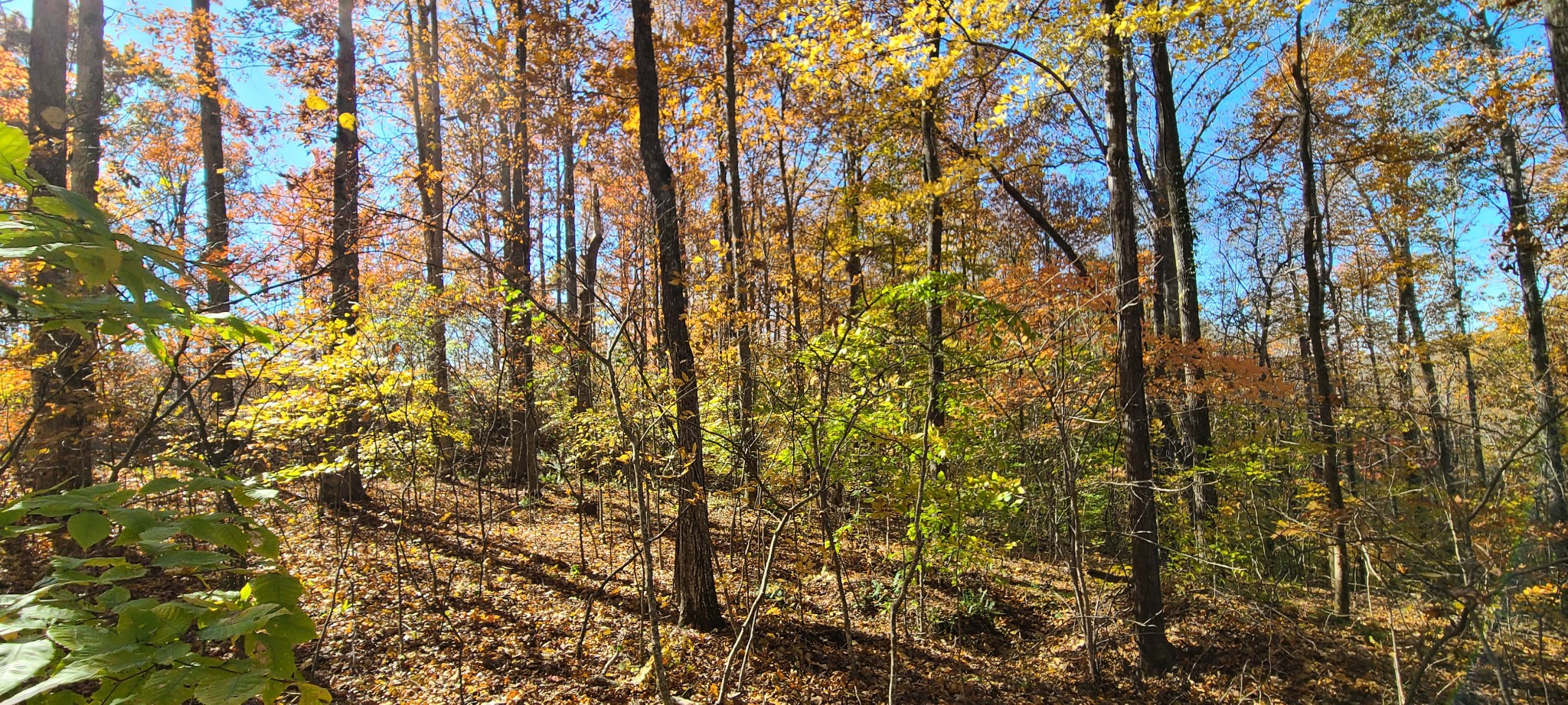 16 Coves Point Road Sparta, TN 38583 - Photo 3 of 11 Gallery Image 3