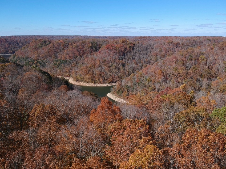 16 Coves Point Road Sparta, TN 38583 - Photo 6 of 11 Gallery Image 6