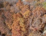 16 Coves Point Road Sparta, TN 38583 - Photo 10 of 11 Gallery Image 10