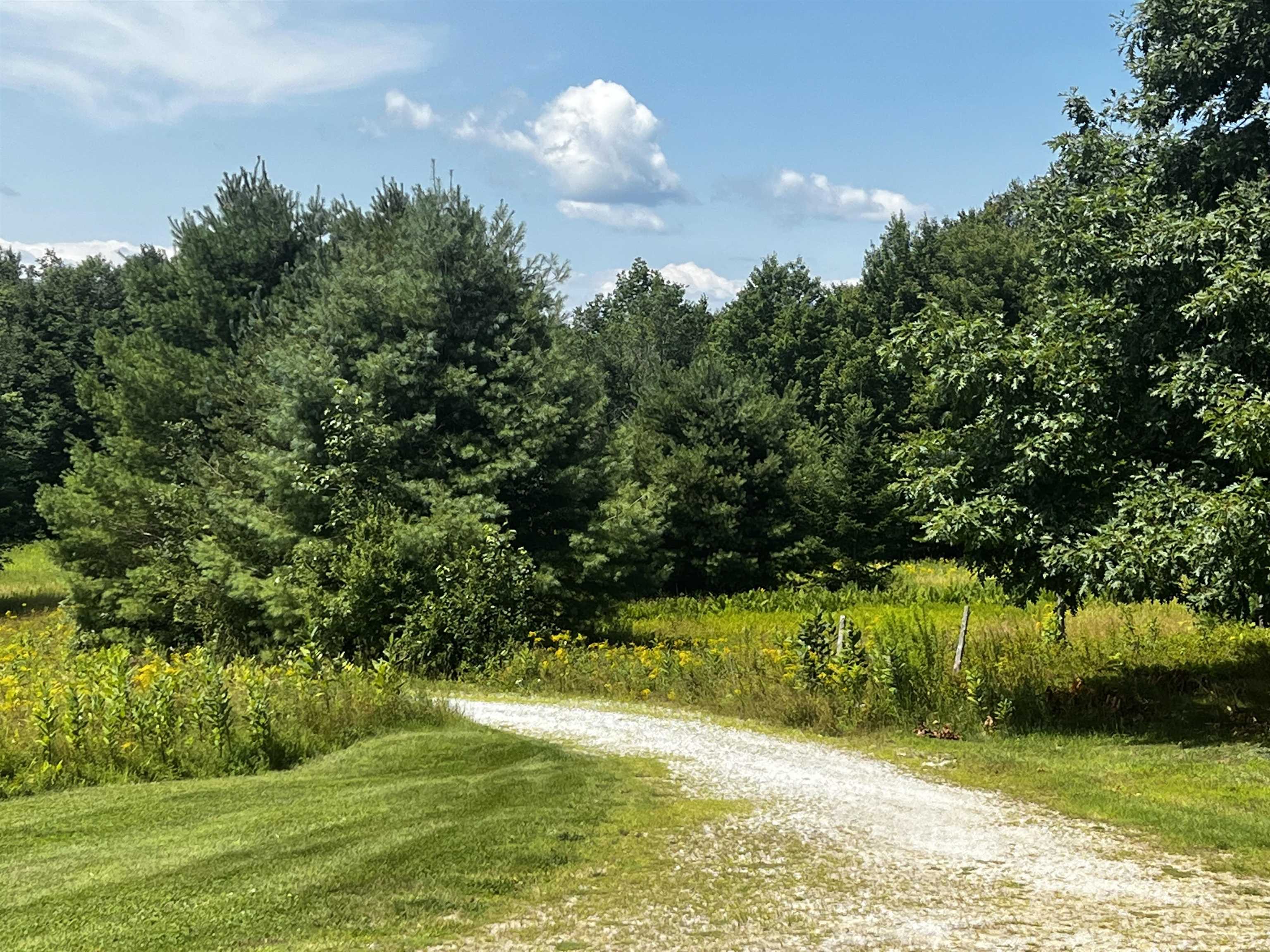 2451 Upper Cold River Road Shrewsbury, VT 05738 - Photo 11 of 24