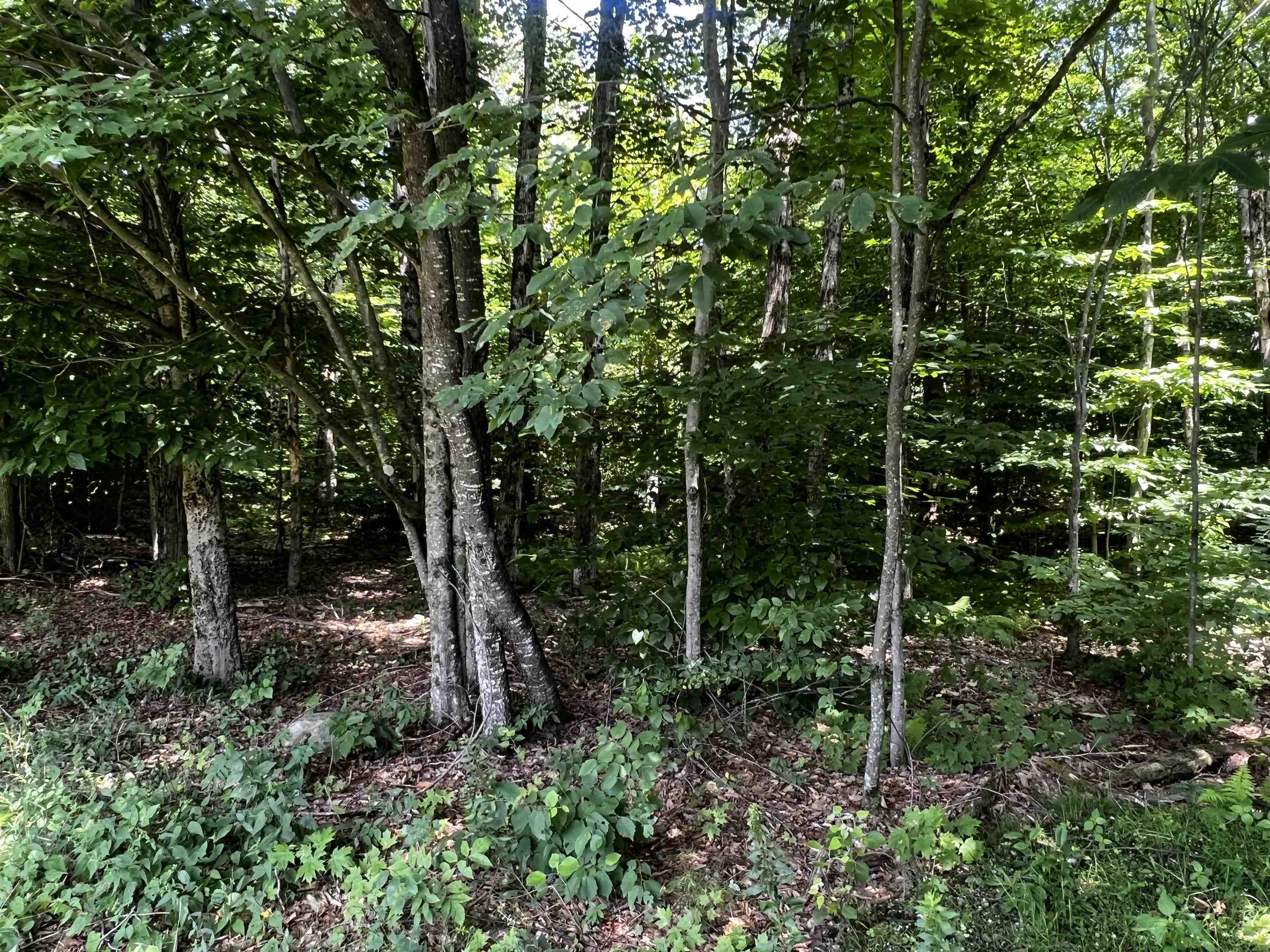 2451 Upper Cold River Road Shrewsbury, VT 05738 - Photo 17 of 24