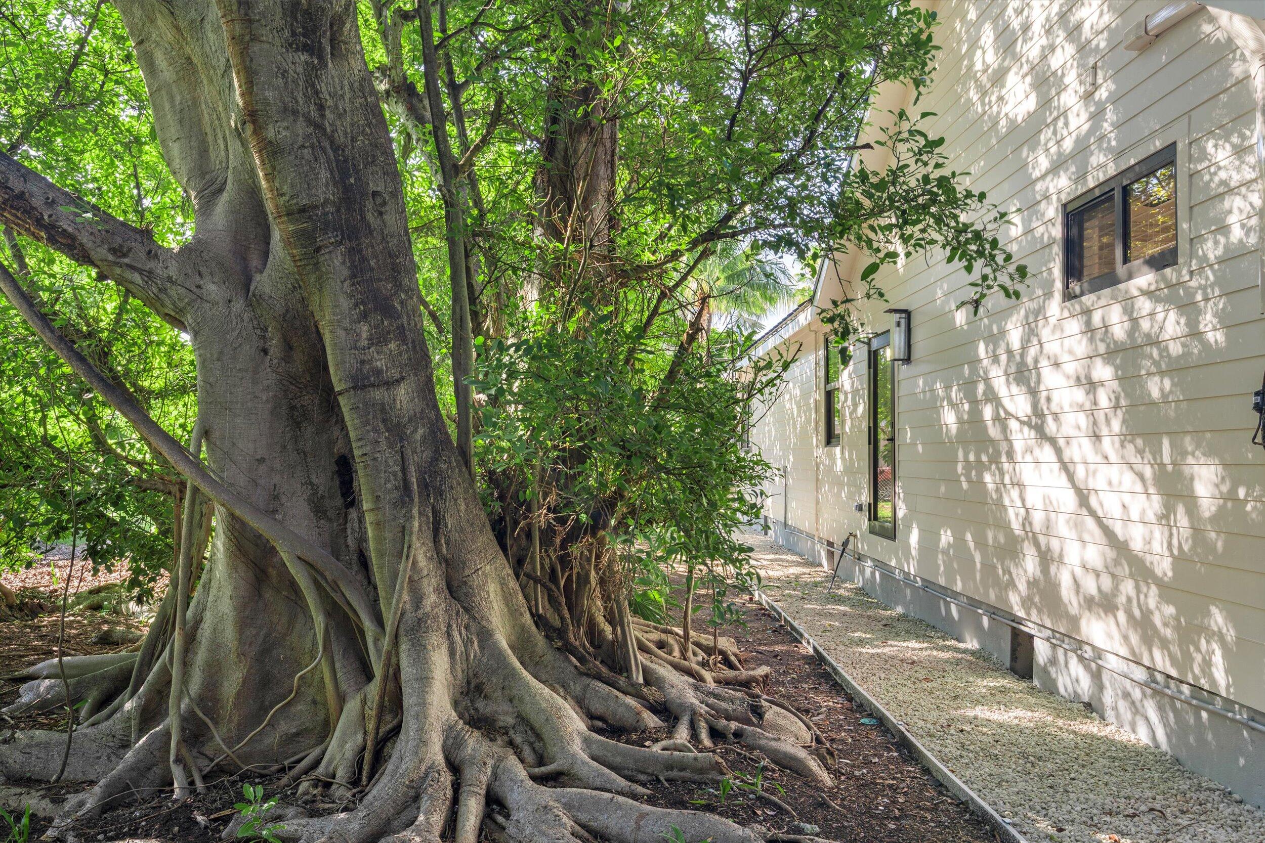 1718 United Street Key West, FL 33040 - Photo 40 of 43 35-035