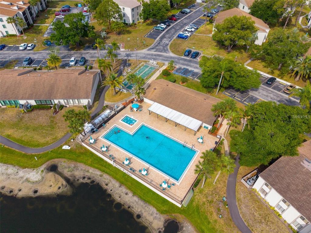 2523 Pine Ridge Way South, Unit C2 Palm Harbor, FL 34684 - Photo 29 of 29