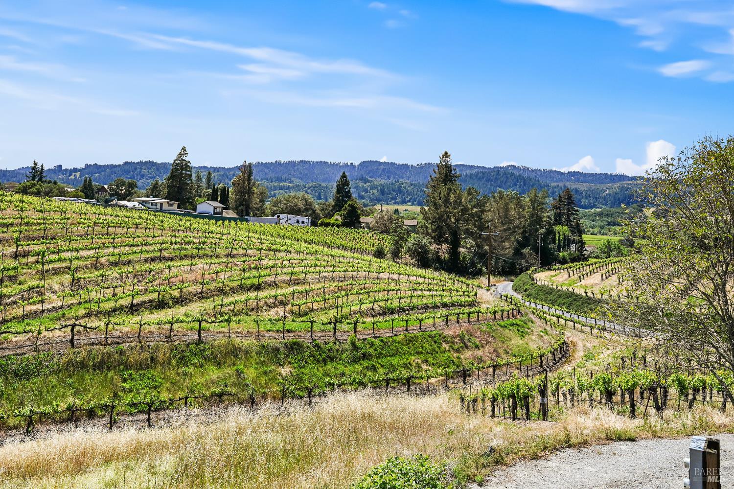 5143 Dry Creek Road Healdsburg, CA 95448 - Photo 56 of 85 a view of a lake with a city