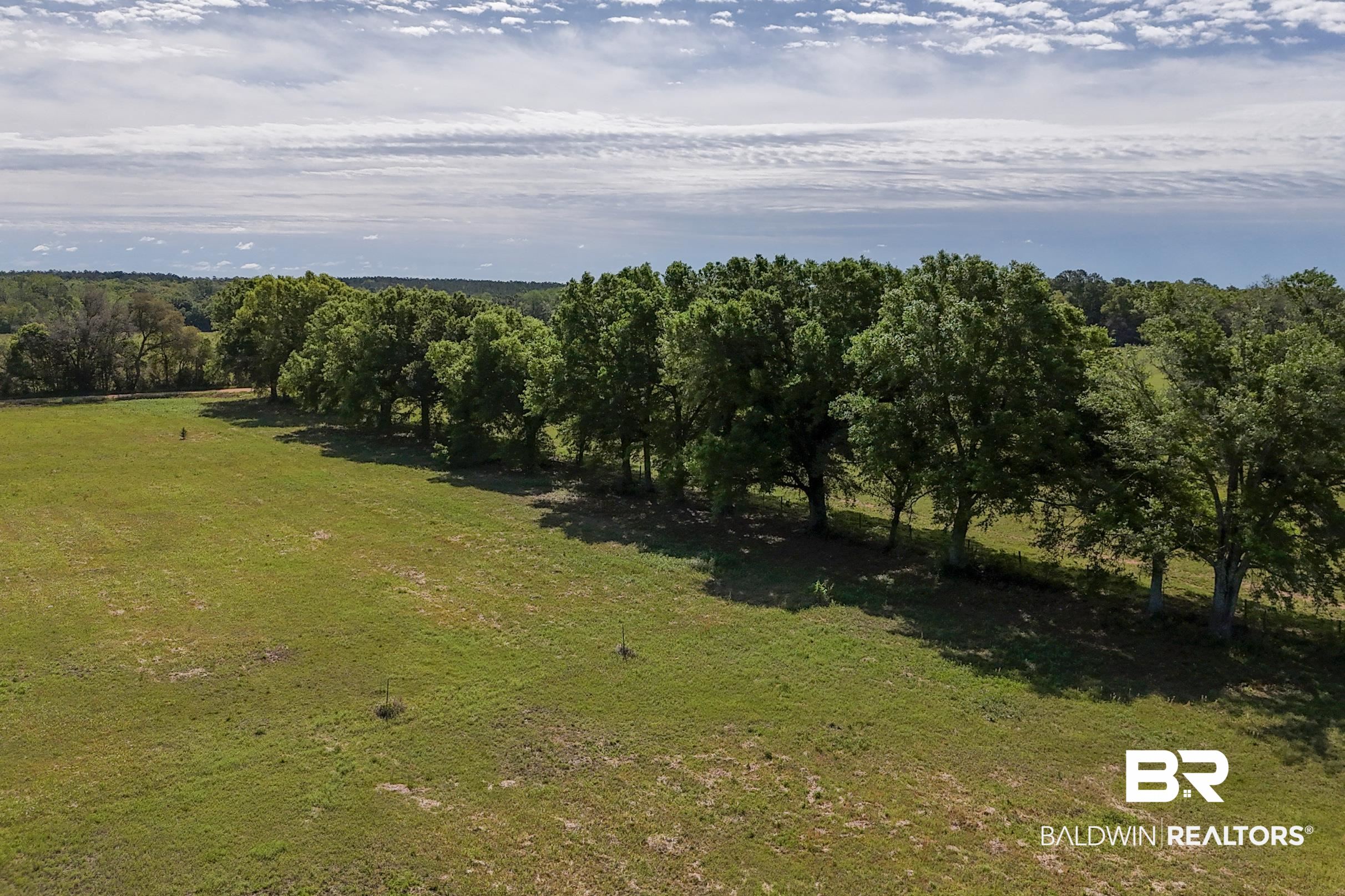0 Bohemian Hall Road Silverhill, AL 36576 - Photo 8 of 11