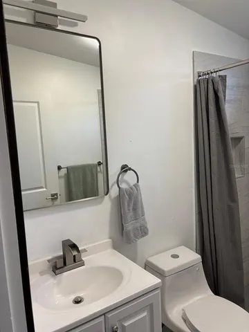 a picture of palm trees