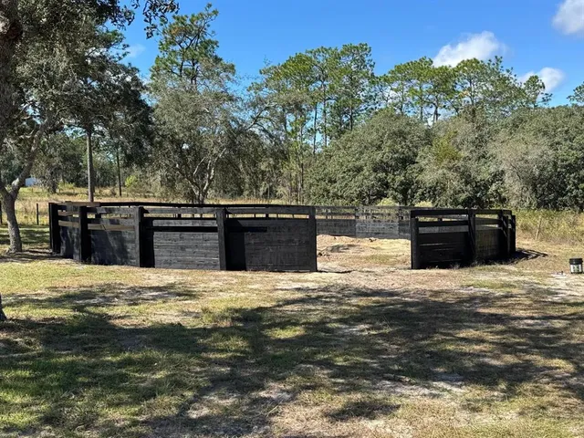 a view of a ocean with trees