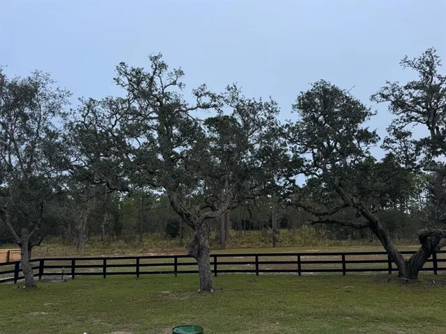 a view of swimming pool with outdoor seating and trees