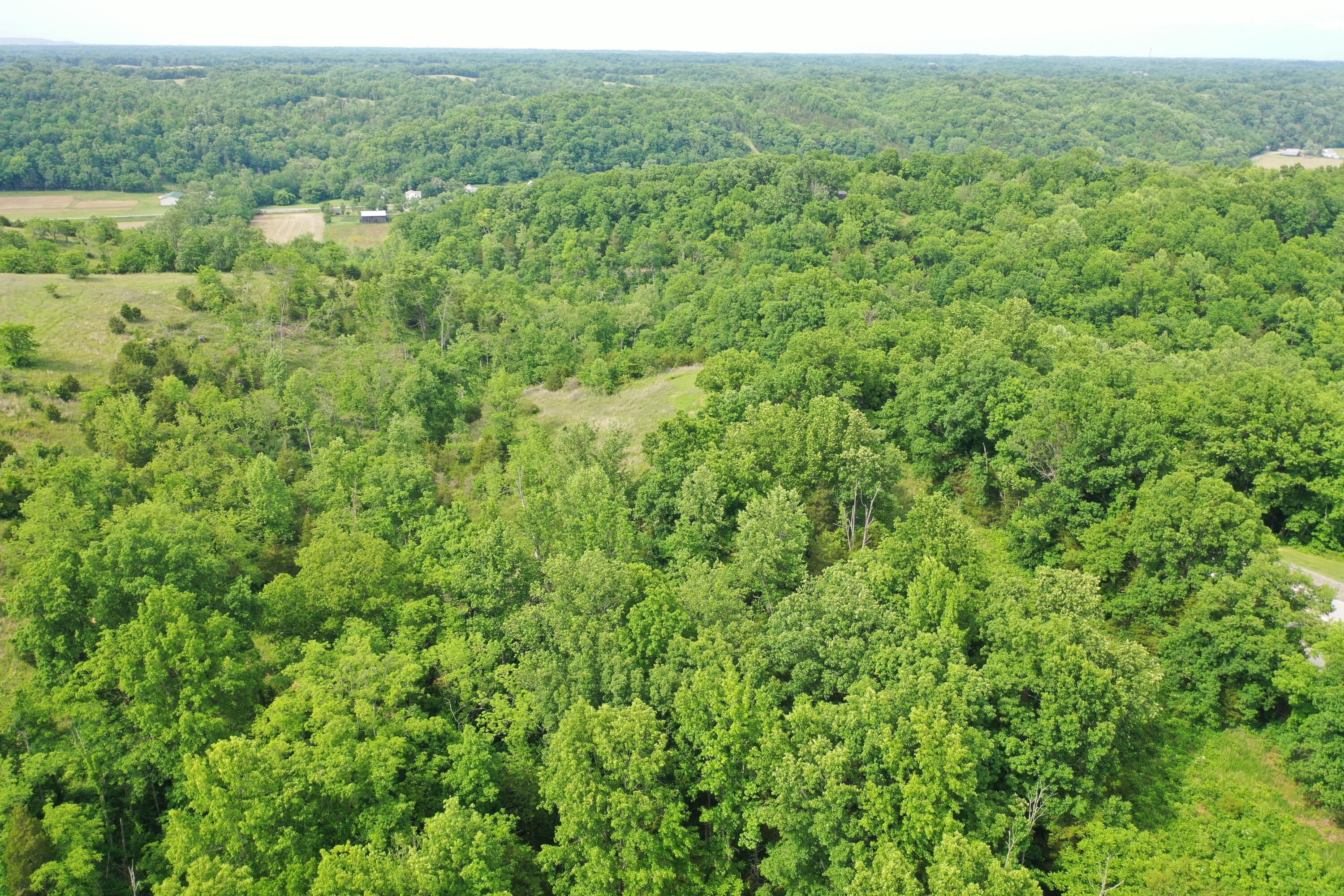 1050 Burgin Road Lawrenceburg, KY 40342 - Photo 37 of 45 DJI_0288