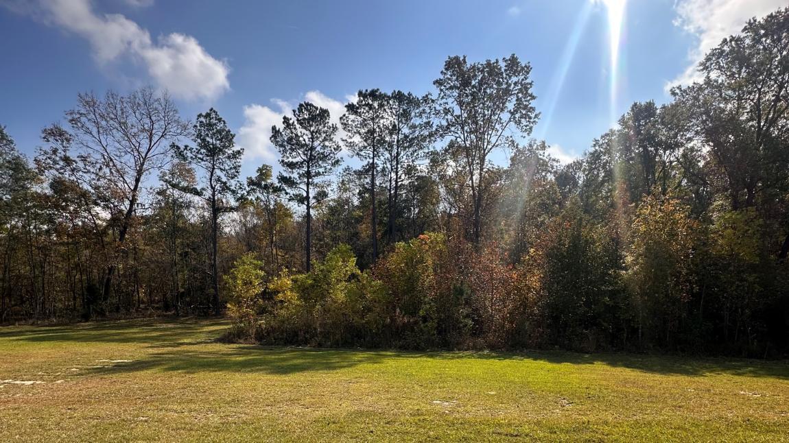 355 Willows Cres Drive Moncks Corner, SC 29461 - Photo 2 of 54 355 Willows Crescent - Backyard