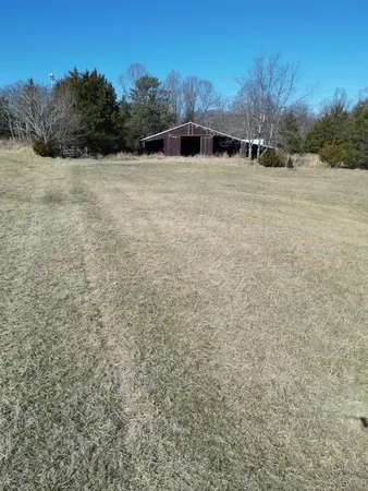 a big yard with lots of green space