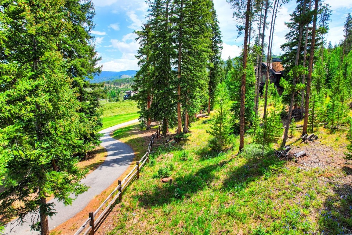 550 Gold Run Road Breckenridge, CO 80424 - Photo 12 of 14 a view of a yard with plants and large trees