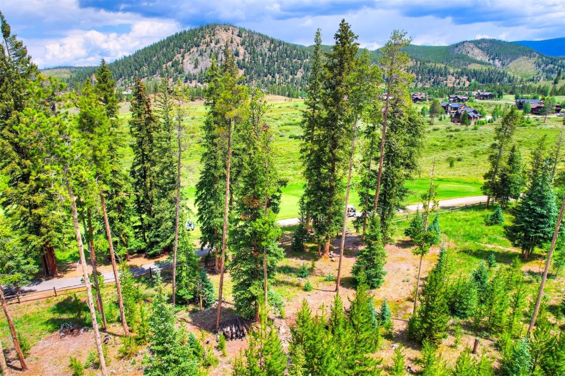 550 Gold Run Road Breckenridge, CO 80424 - Photo 13 of 14 a view of a garden