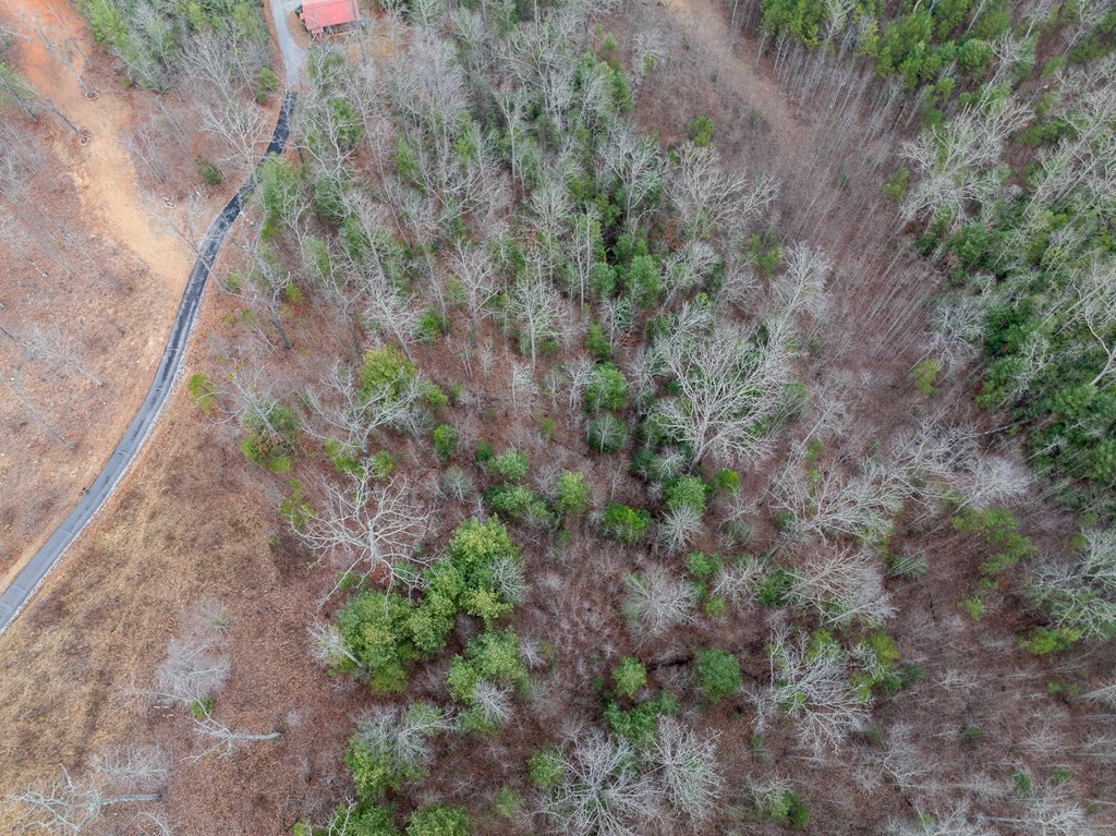 Lot 63 Lake Wood Road Murphy, NC 28906 - Photo 5 of 28