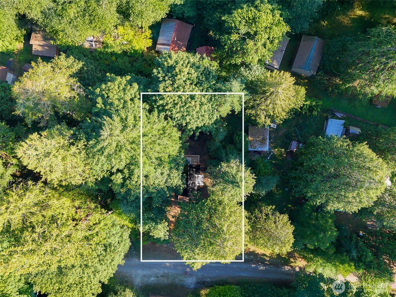 64258 Lookout Mtn Loop Marblemount, WA 98267 - Photo 35 of 40 a view of a garden with plants