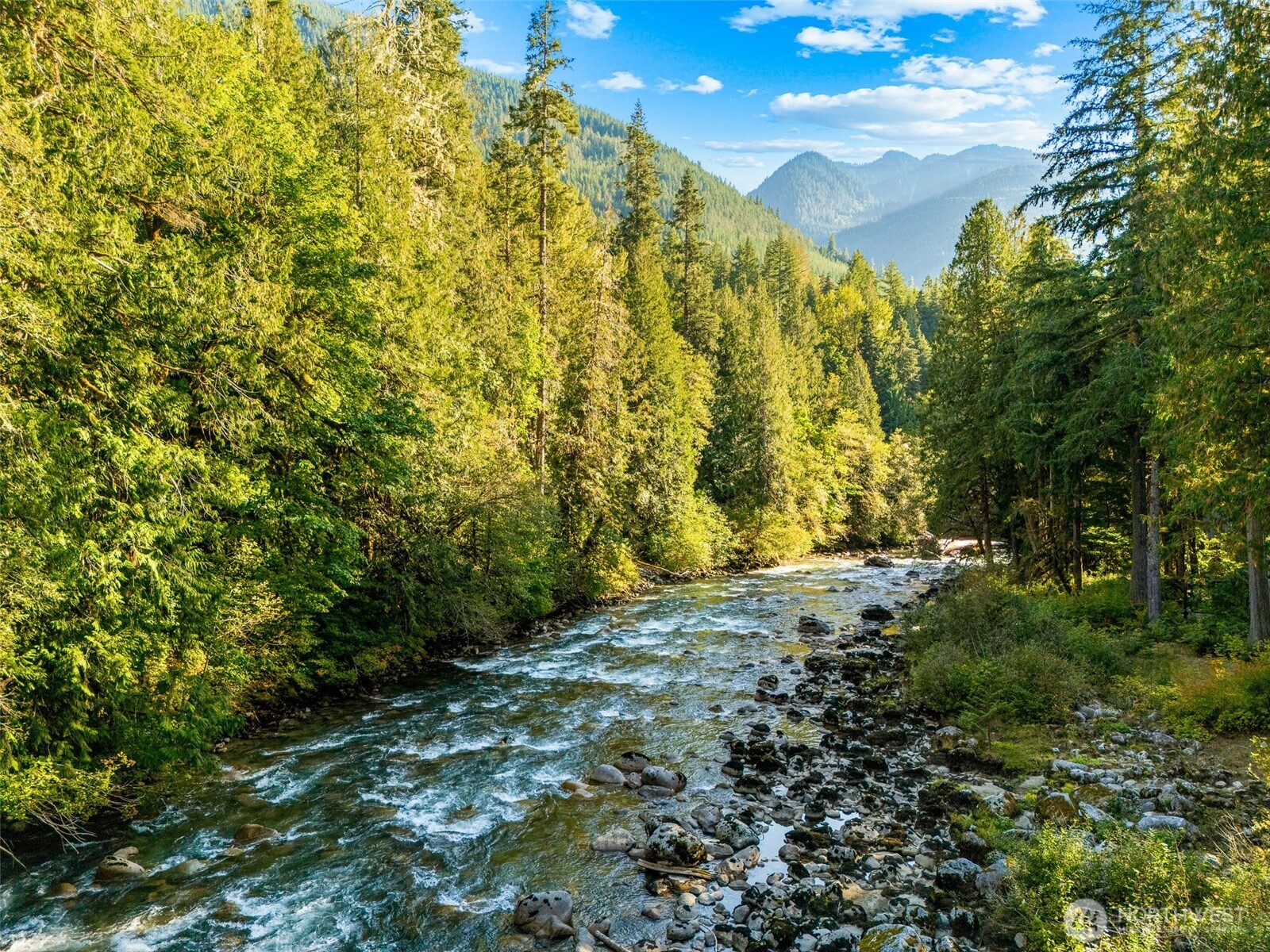 64258 Lookout Mtn Loop Marblemount, WA 98267 - Photo 37 of 40 a view of a yard with trees