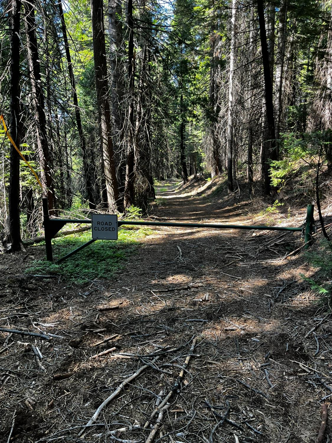 1 Usfs 8bn54 Road Pioneer, CA 95666 - Photo 28 of 51