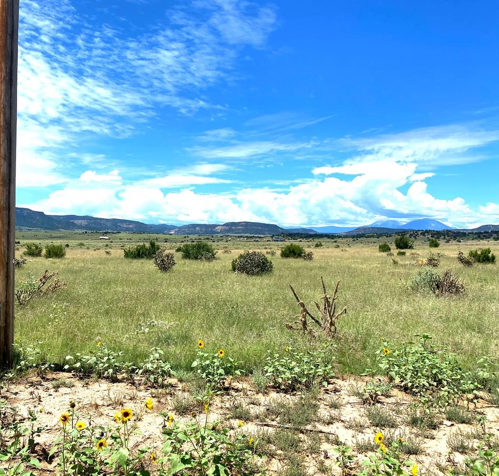 23906 Adams Road Trinidad, CO 81082 - Photo 14 of 15 Gallery Image 14