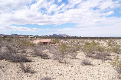 5171 North Silverbell Road Tucson, AZ 85745 - Photo 7 of 7