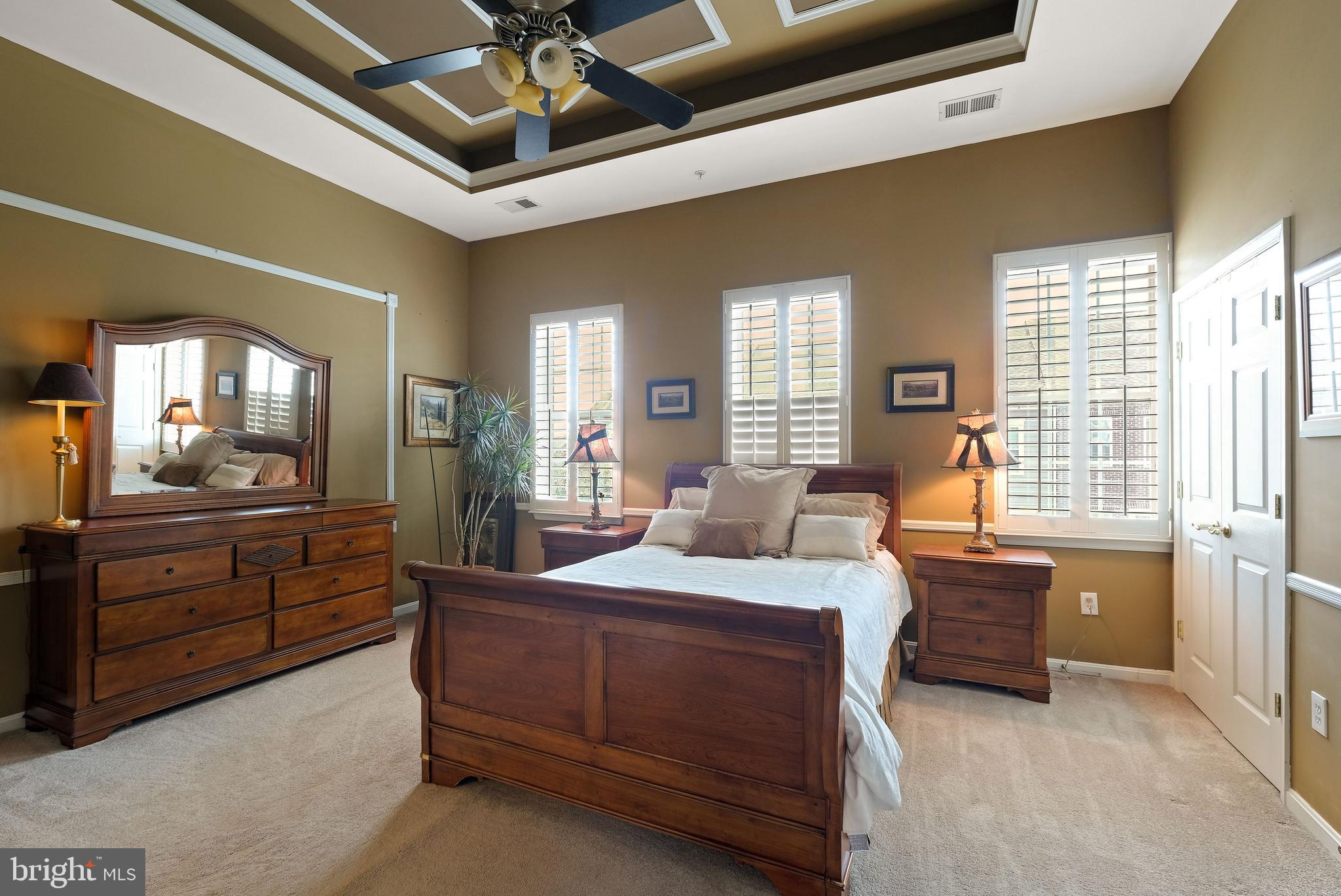 8826 Lew Wallace Road Frederick, MD 21704 - Photo 22 of 33 Primary bedroom w/tray ceiling & custom moldings