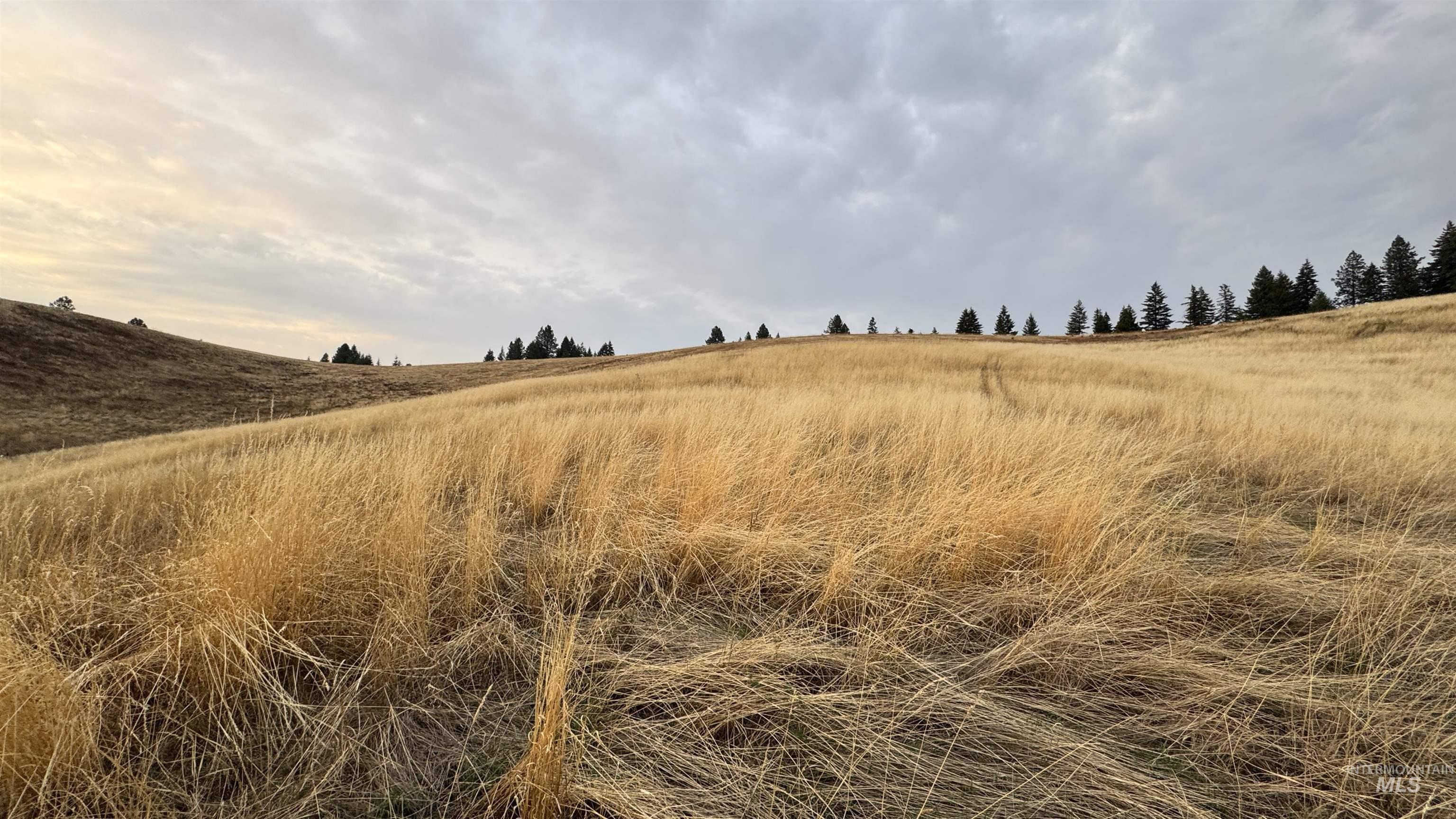 Tbd Harrisburg Road Kamiah, ID 83536 - Photo 11 of 48 View of nature featuring rural landscape