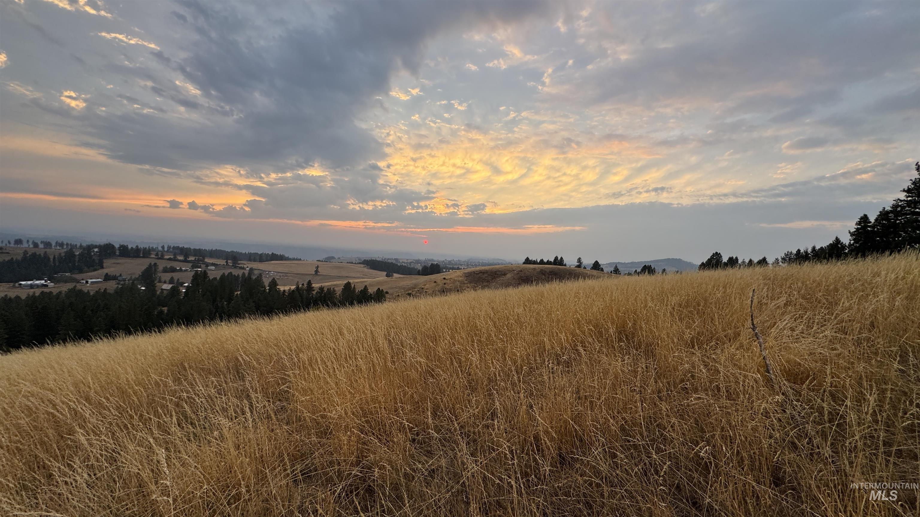 Tbd Harrisburg Road Kamiah, ID 83536 - Photo 12 of 48 View of local wilderness featuring rural landscape