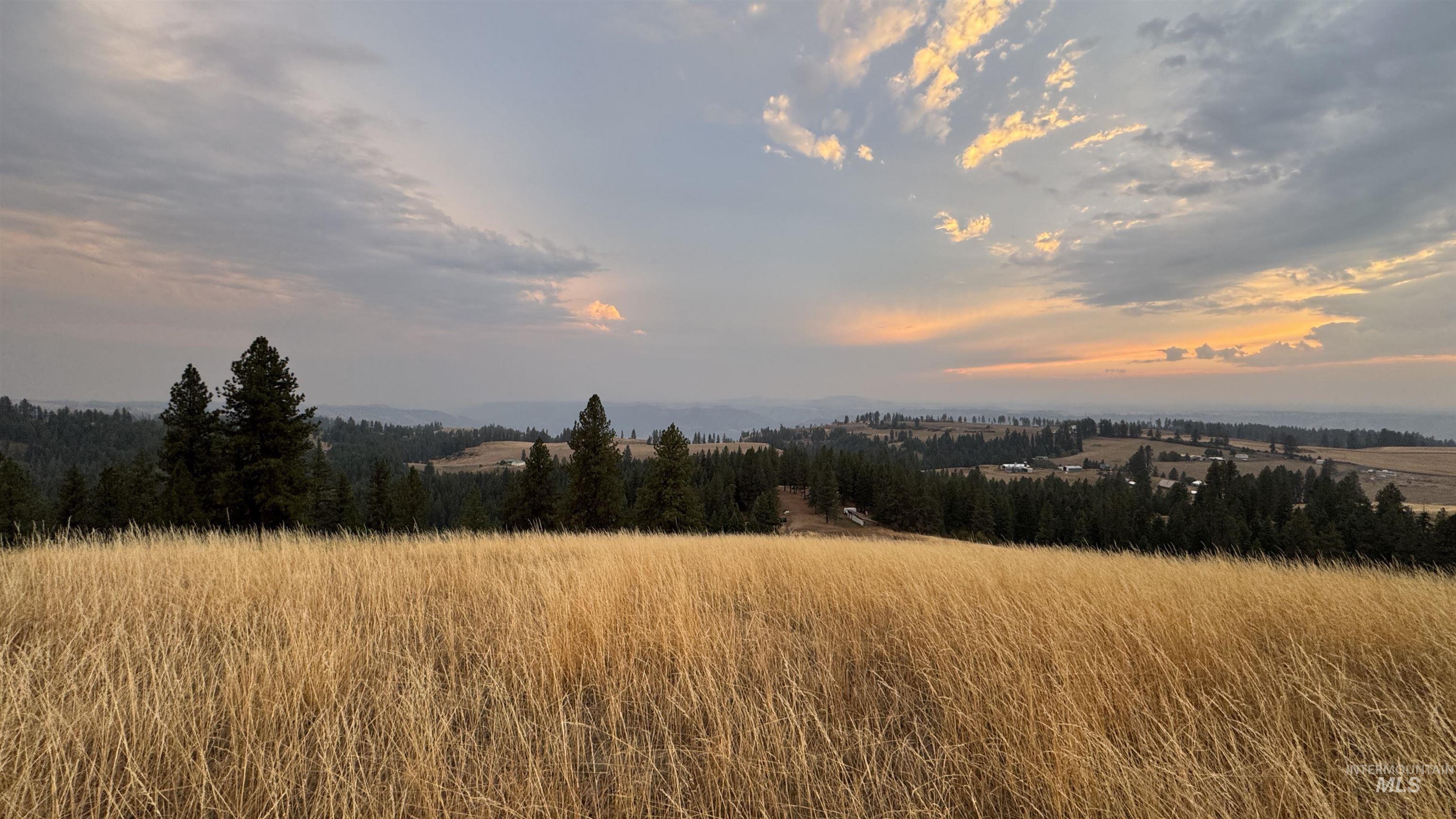 Tbd Harrisburg Road Kamiah, ID 83536 - Photo 14 of 48 View of nature featuring rural landscape