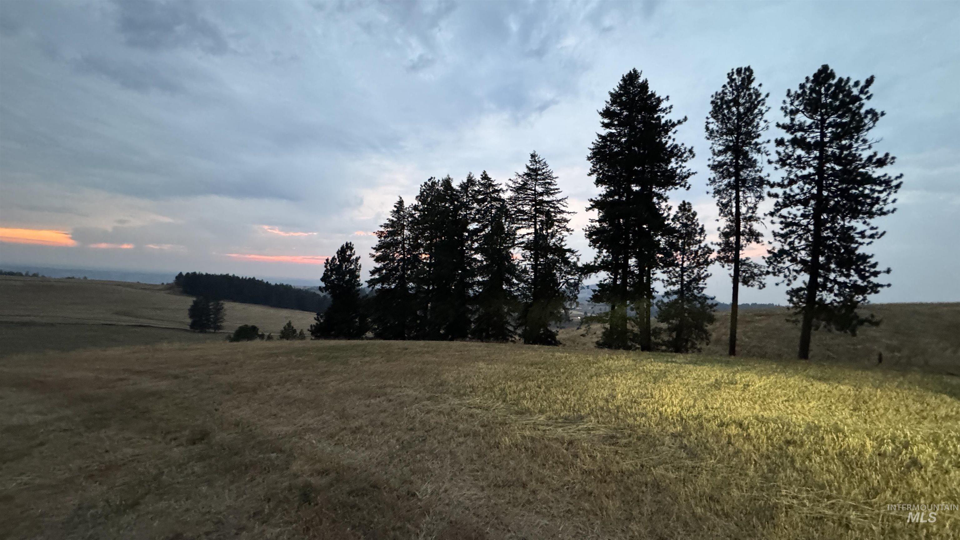 Tbd Harrisburg Road Kamiah, ID 83536 - Photo 16 of 48 View of green lawn with a rural view