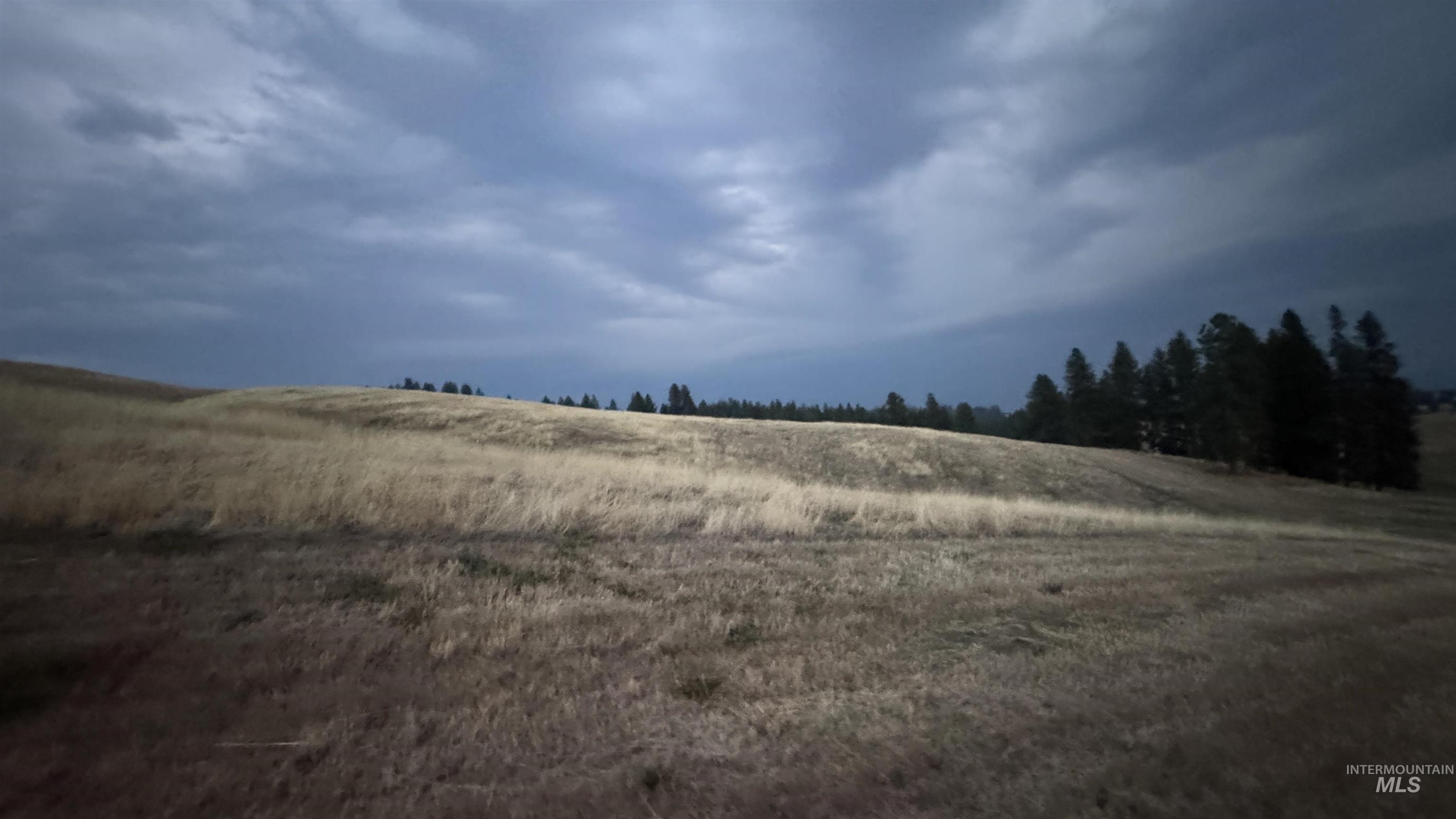 Tbd Harrisburg Road Kamiah, ID 83536 - Photo 20 of 48 View of local wilderness featuring rural landscape