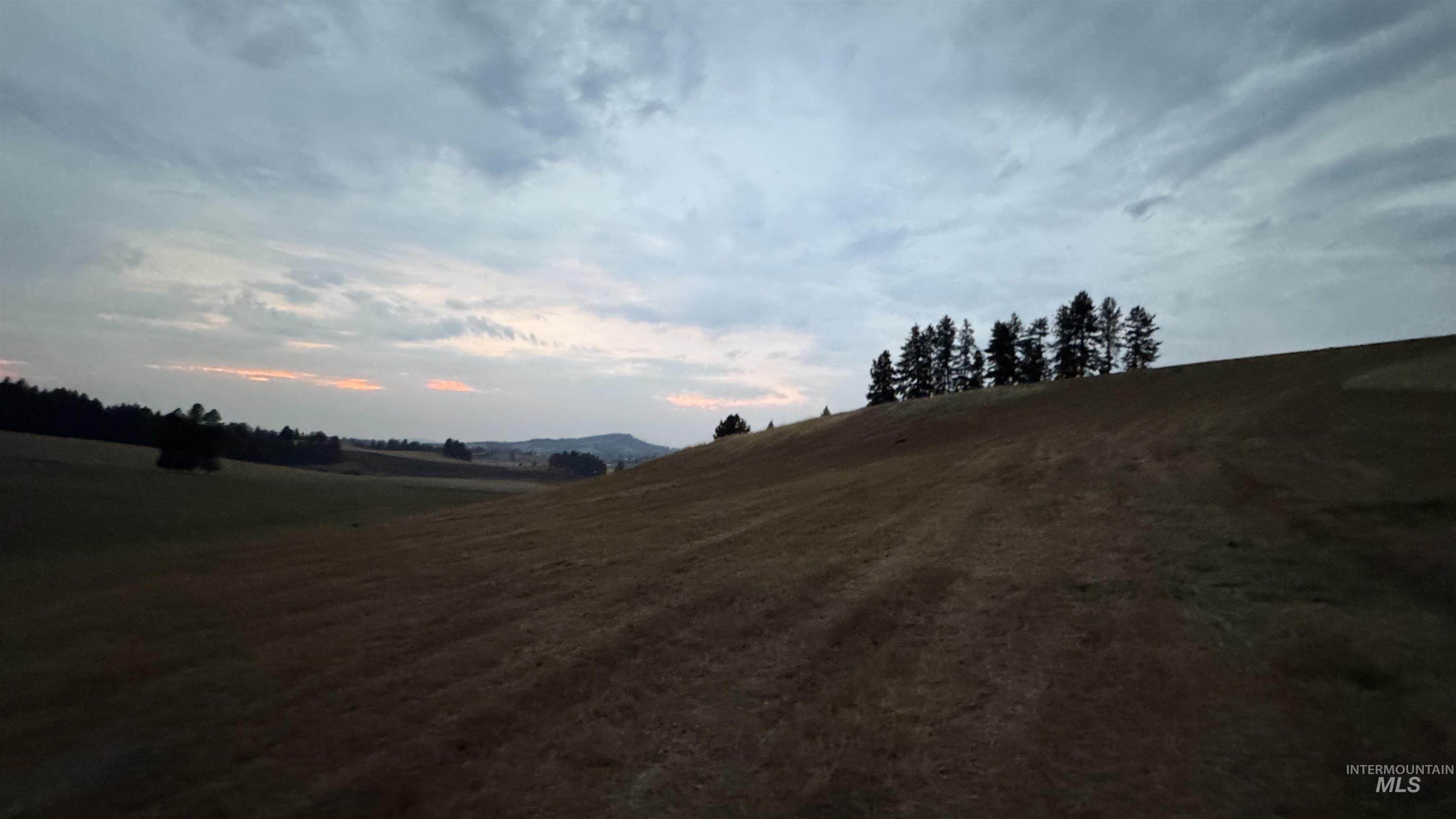 Tbd Harrisburg Road Kamiah, ID 83536 - Photo 21 of 48 Yard at dusk with a view of countryside