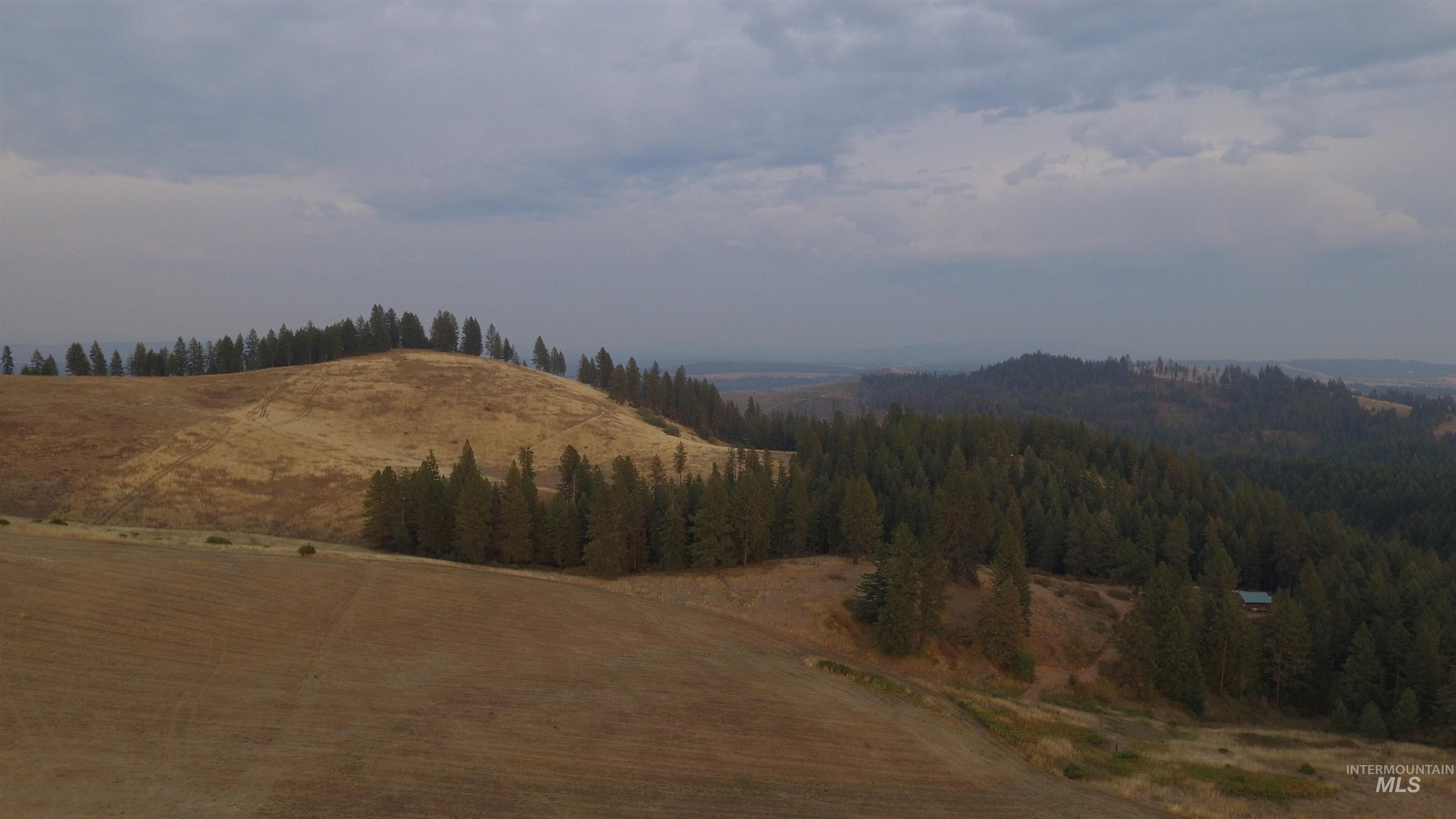 Tbd Harrisburg Road Kamiah, ID 83536 - Photo 22 of 48 Mountain view