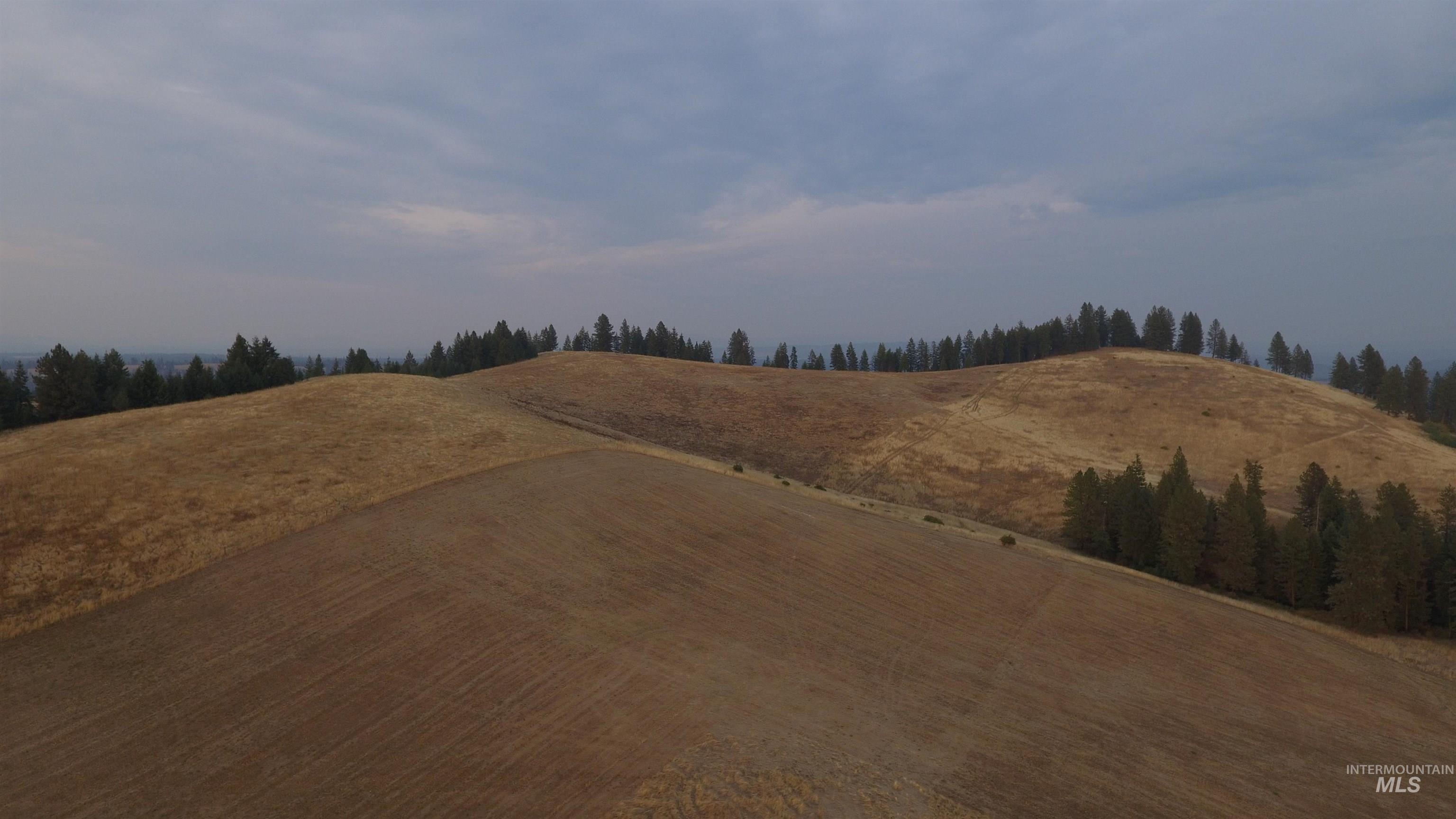 Tbd Harrisburg Road Kamiah, ID 83536 - Photo 23 of 48 Bird's eye view