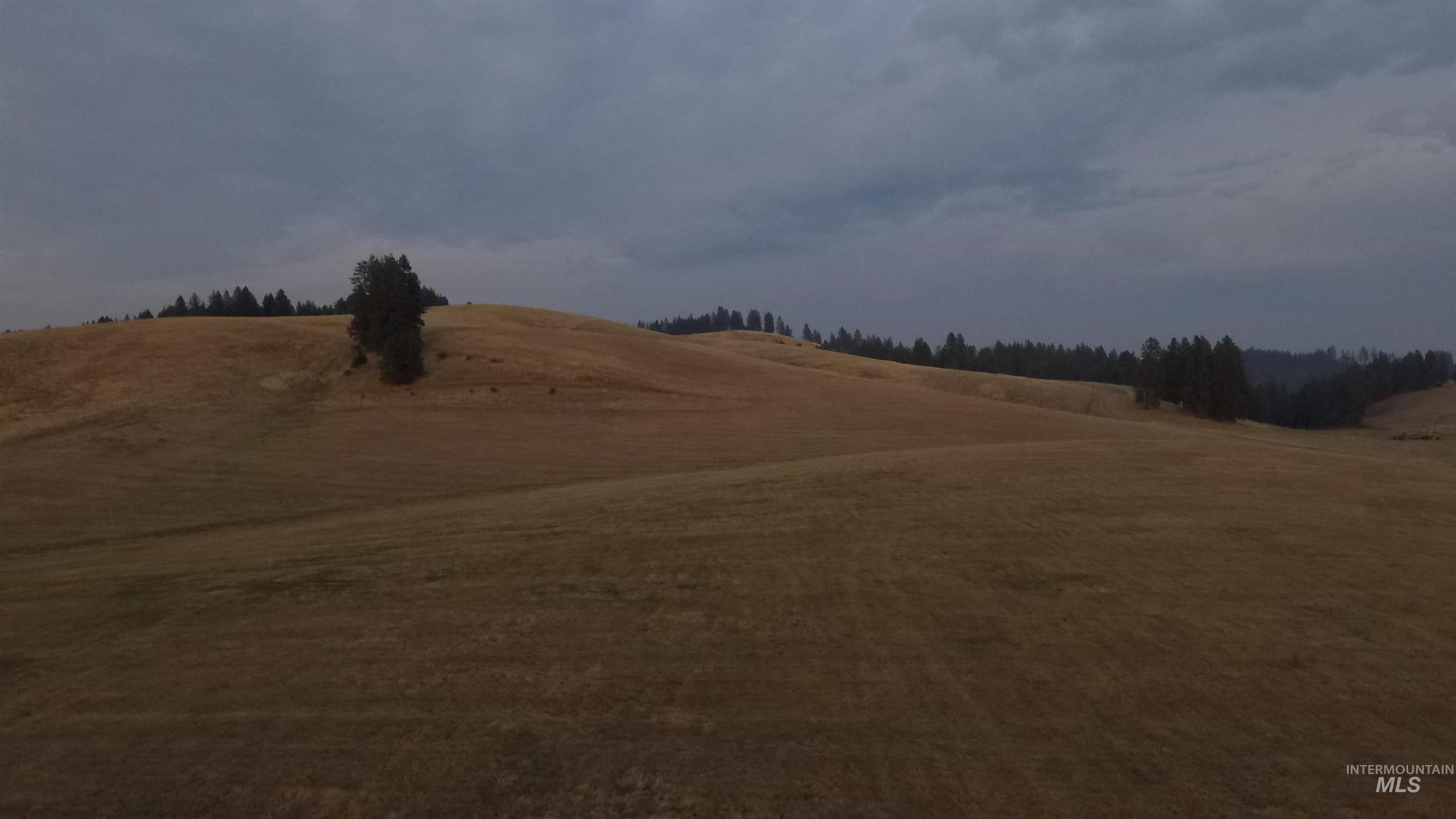 Tbd Harrisburg Road Kamiah, ID 83536 - Photo 30 of 48 View of yard featuring a view of countryside