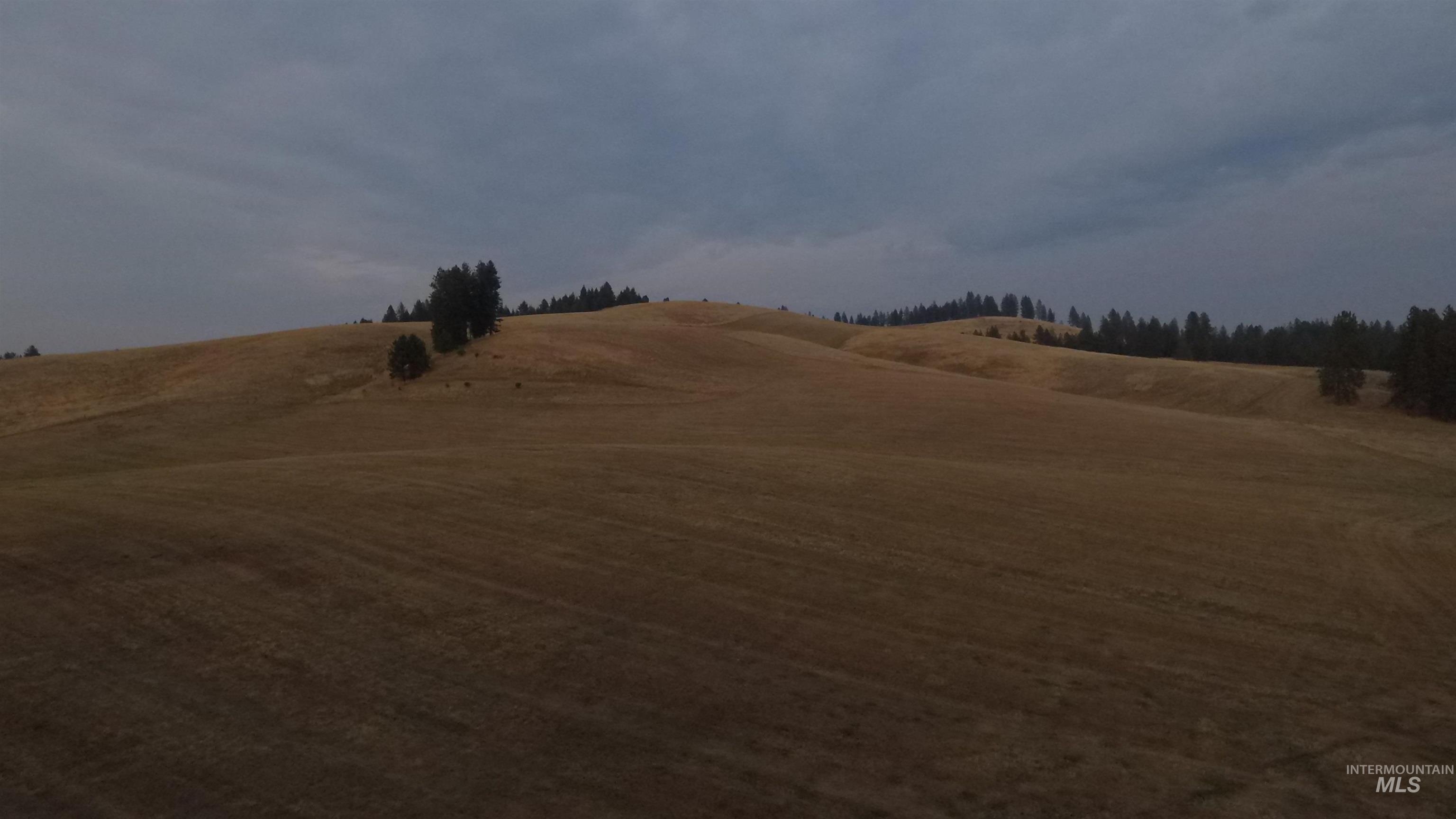 Tbd Harrisburg Road Kamiah, ID 83536 - Photo 31 of 48 View of yard featuring a rural view