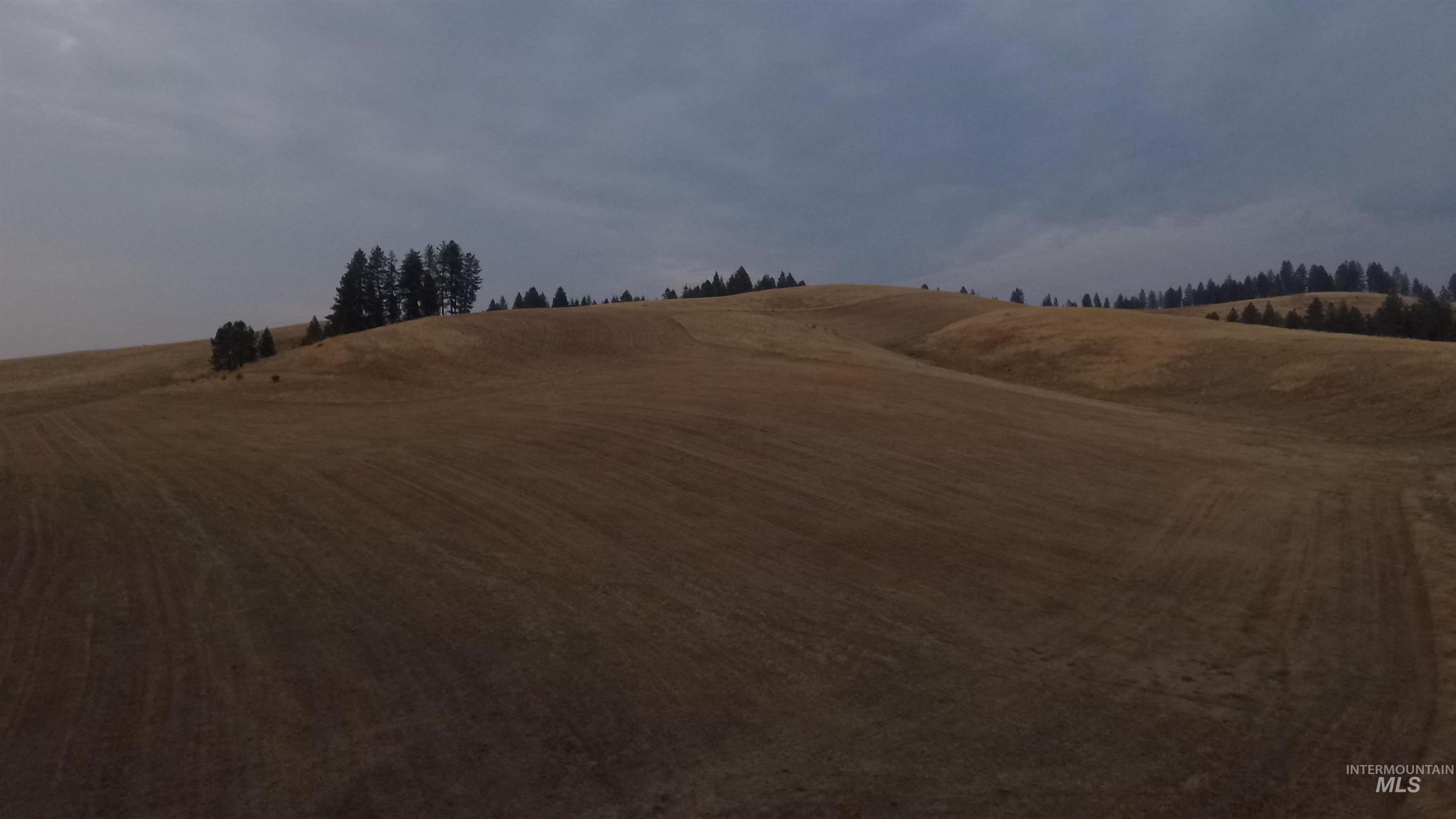 Tbd Harrisburg Road Kamiah, ID 83536 - Photo 32 of 48 View of yard with a view of countryside
